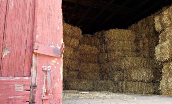 hay shed with red door
