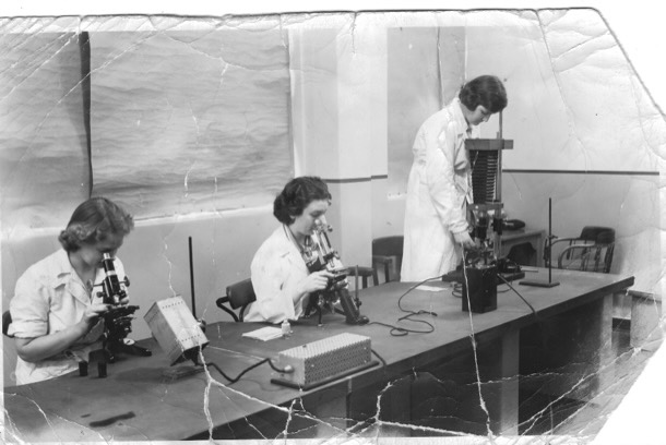 Alice group microscope