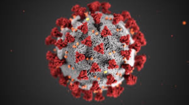 corona virus image