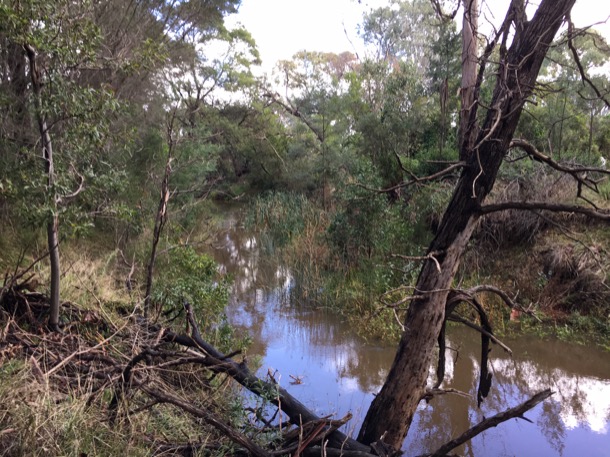 Toomuc Creek 1