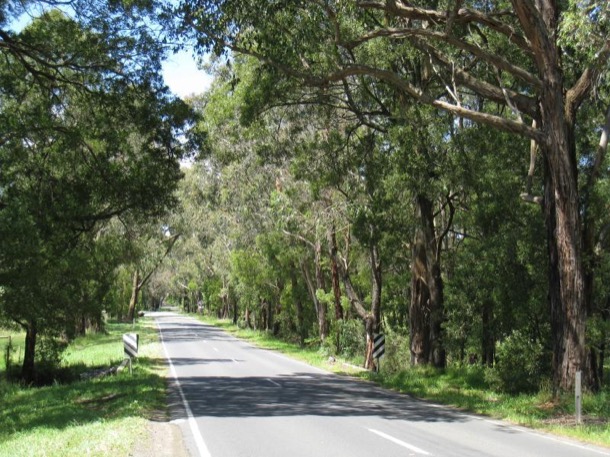 woori yallock road cockatoo