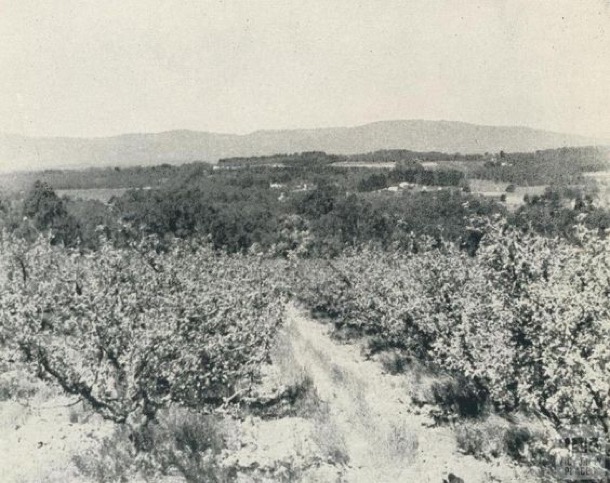Apple orchards vermont